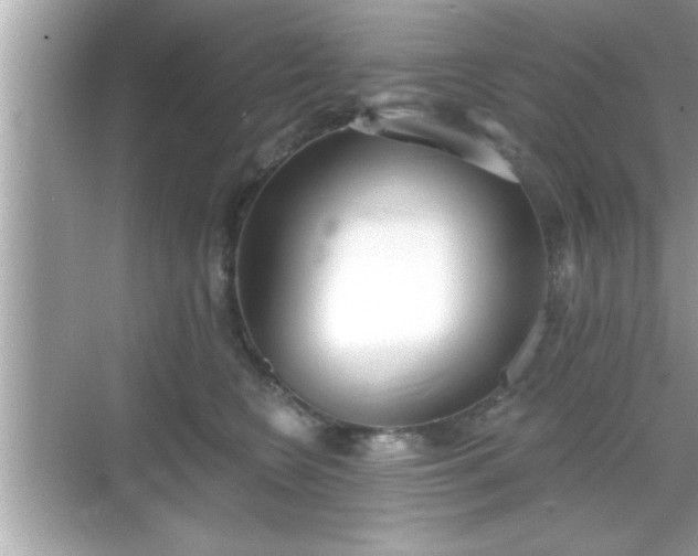 X0000069360566200605150919