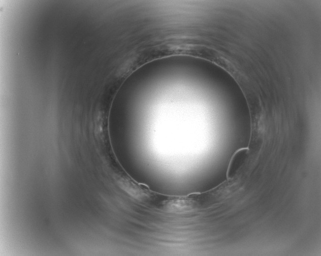 X0000069360567200605150919