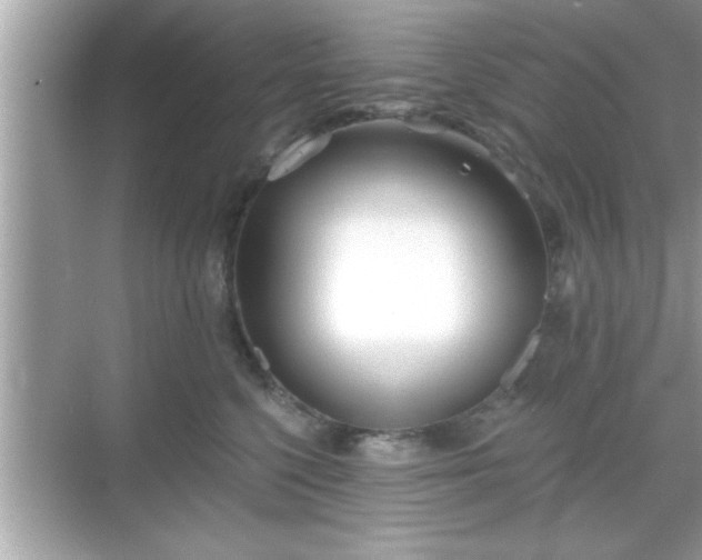 X0000069360568200605150919