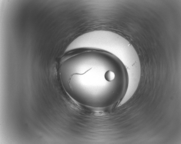 X0000069360570200605150919