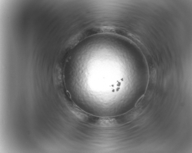 X0000069360571200605150919