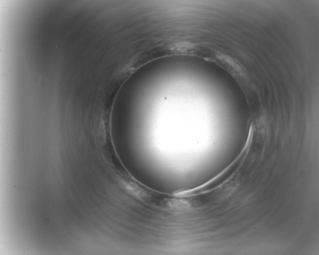 X0000069360572200605150919