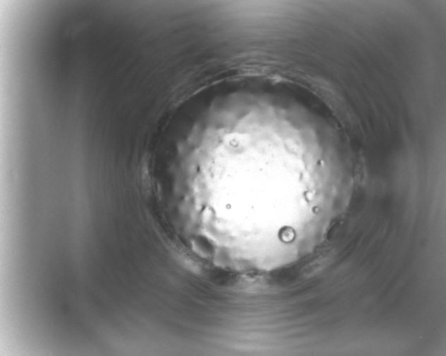 X0000069360573200605150919