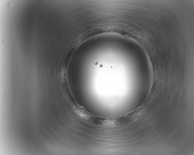 X0000069360574200605150919