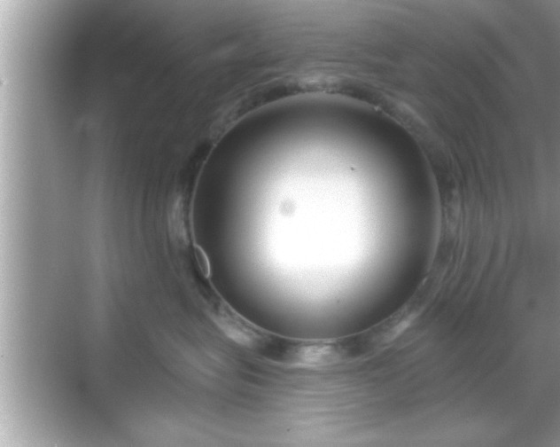 X0000069360575200605150919