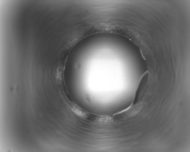 X0000069360576200605150919