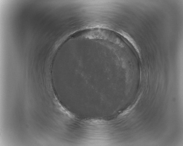 X0000069360577200605150919