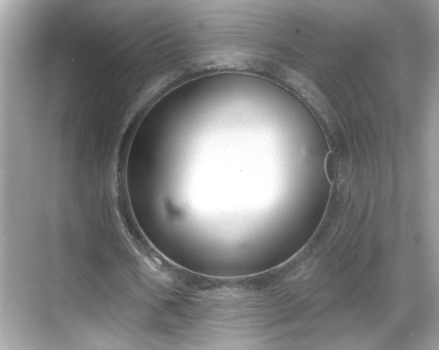 X0000069360578200605150919