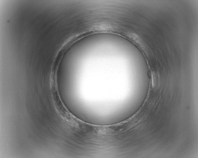 X0000069360579200605150919