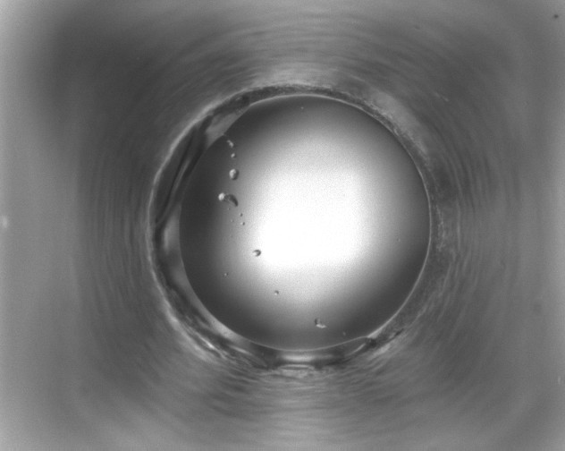 X0000069360580200605150919