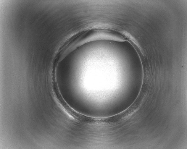 X0000069360581200605150919