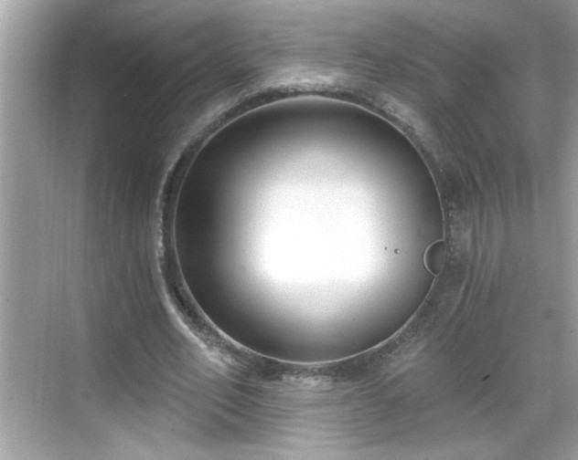 X0000069360582200605150919