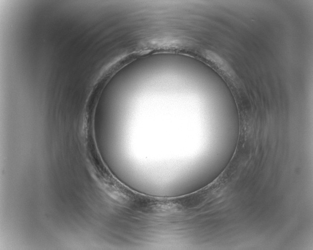 X0000069360583200605150919