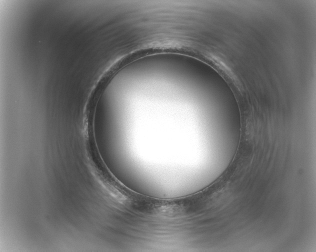 X0000069360584200605150919