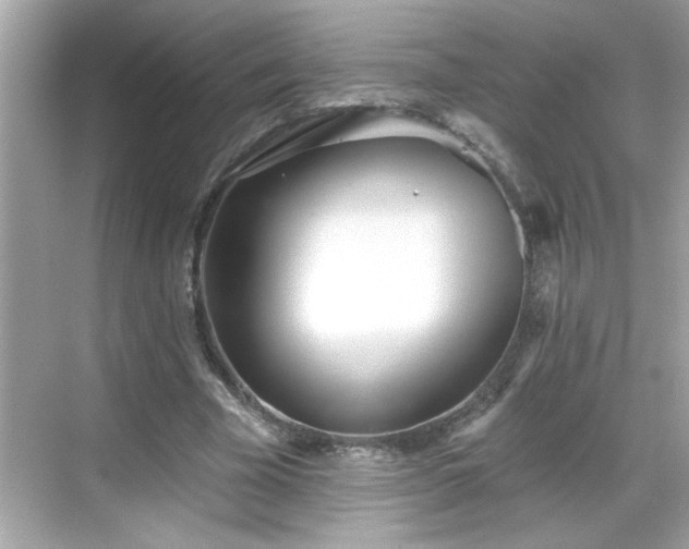 X0000069360585200605150919