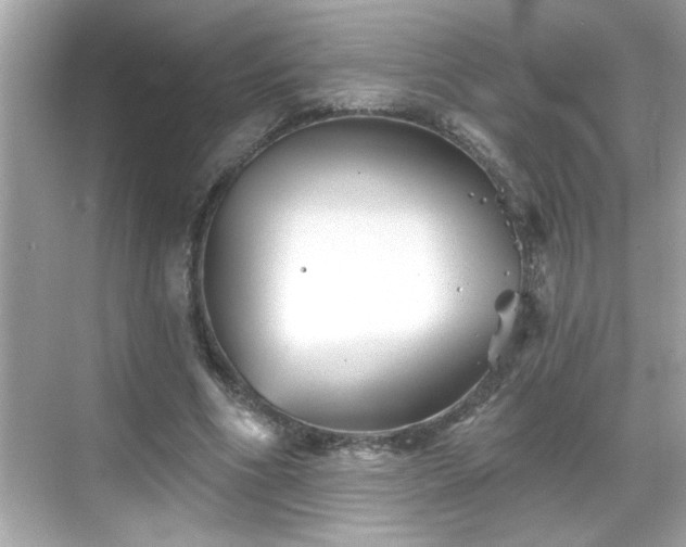 X0000069360586200605150919