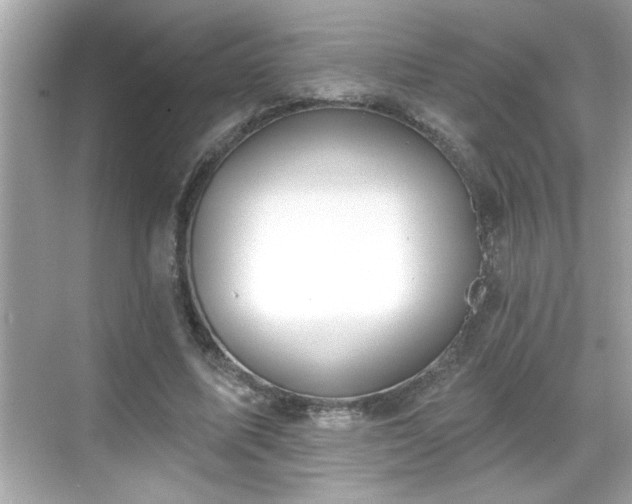 X0000069360587200605150919