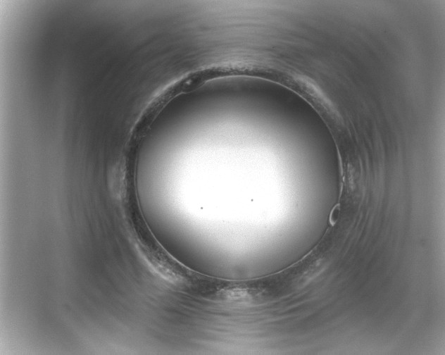 X0000069360588200605150918