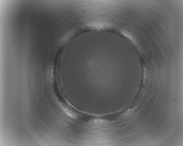 X0000069360590200605150918