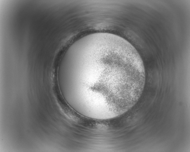 X0000069360592200605150918