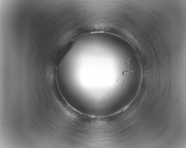 X0000069360593200605150918