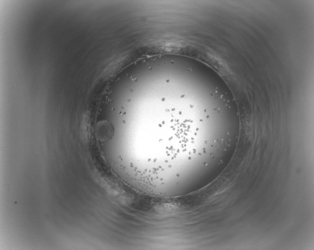 X0000069360594200605150918