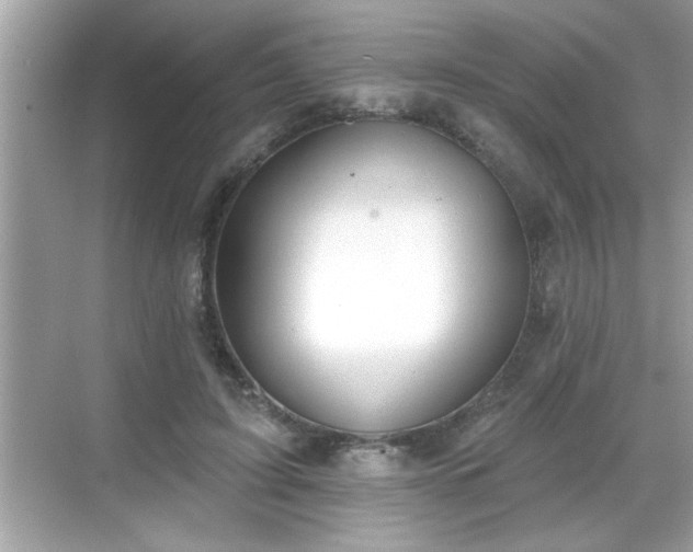 X0000069360595200605150918