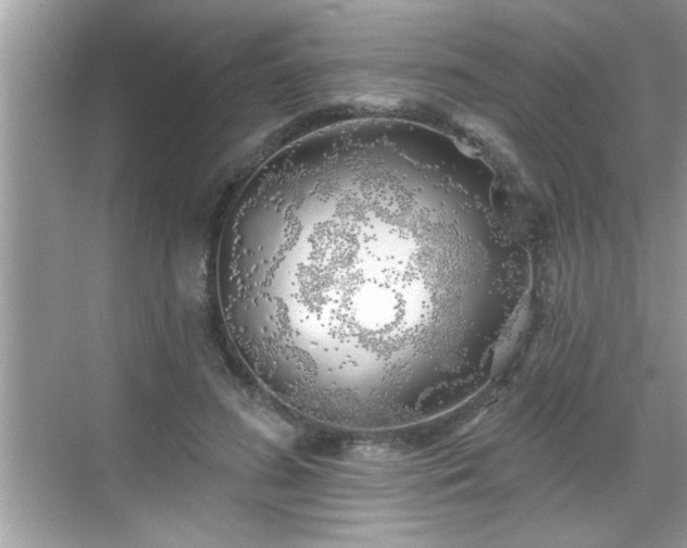 X0000069360596200605150918