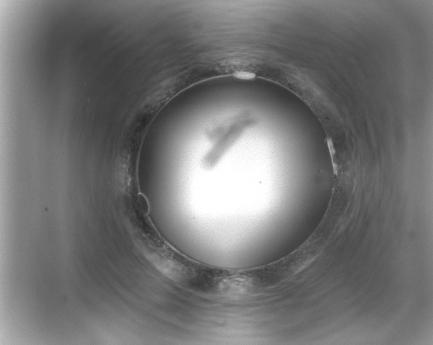 X0000069360599200605150918