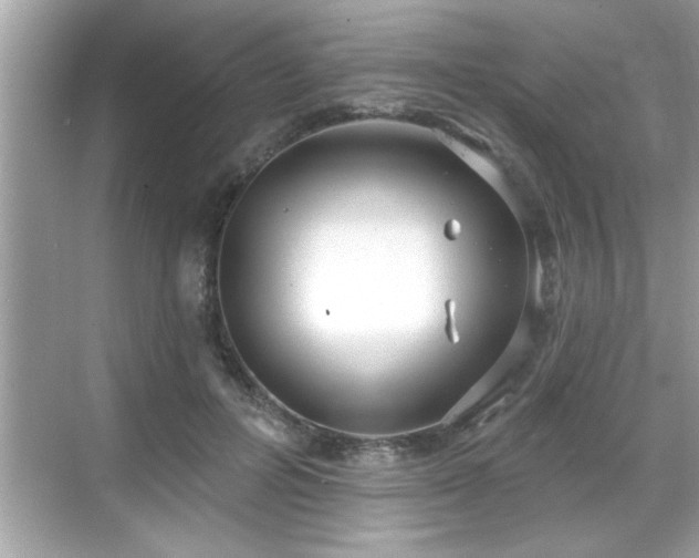 X0000069360600200605150918