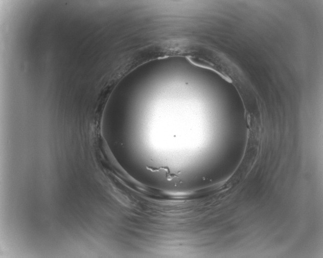 X0000069360601200605150918