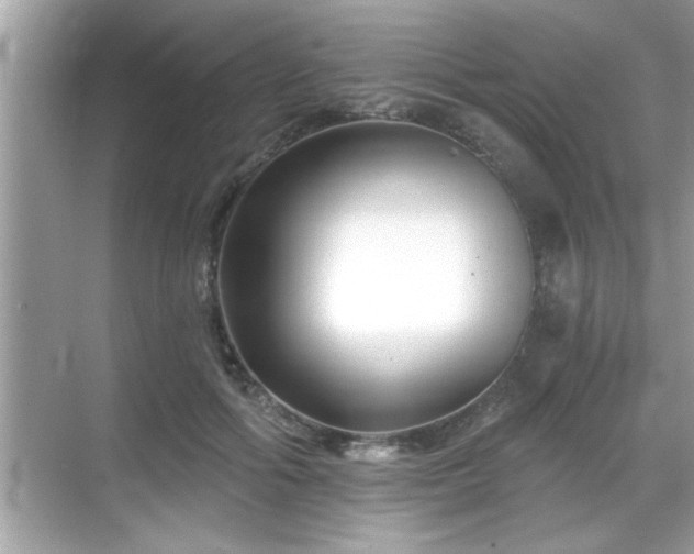 X0000069360602200605150918