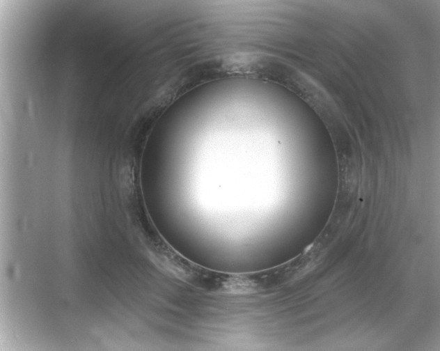 X0000069360603200605150918