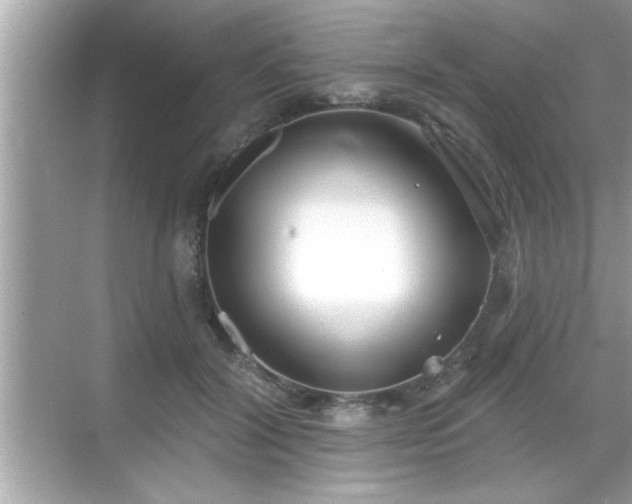 X0000069360604200605150918