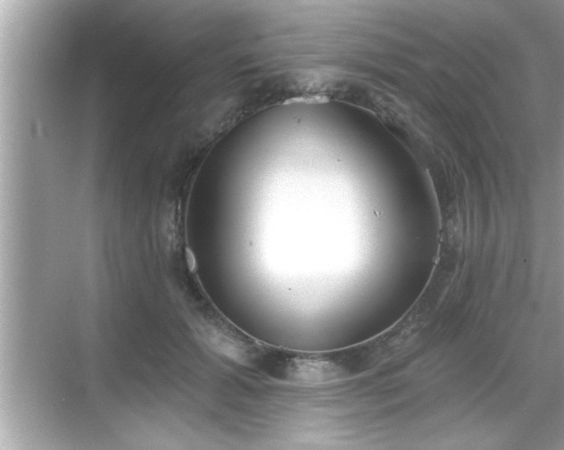 X0000069360605200605150918