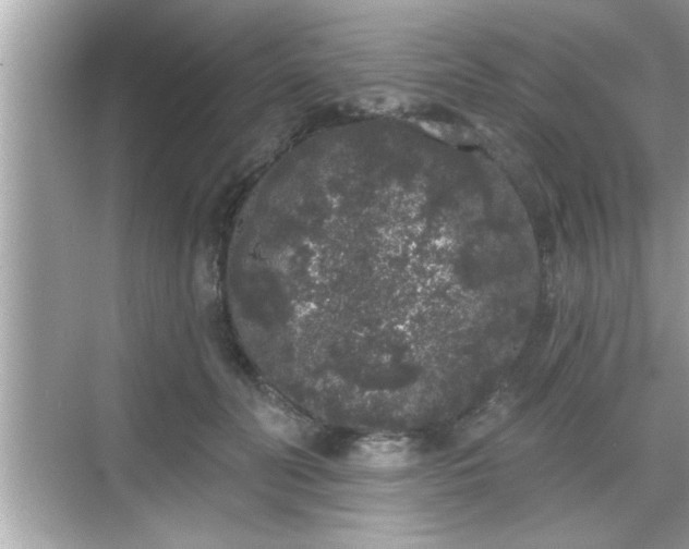 X0000069360606200605150918