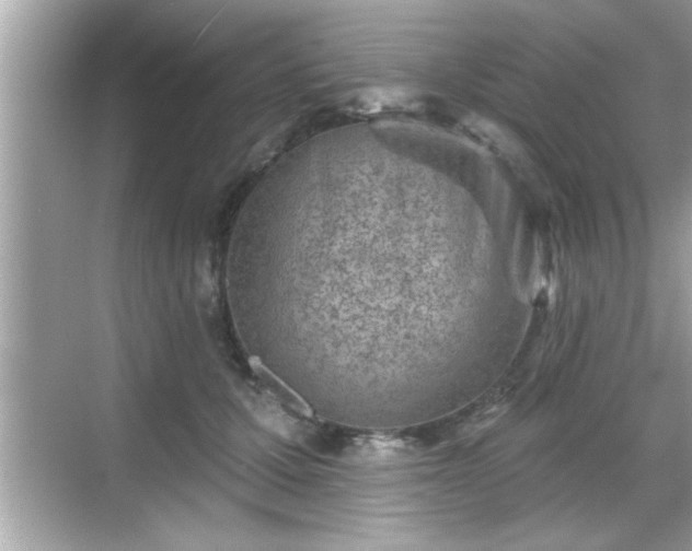 X0000069360607200605150918