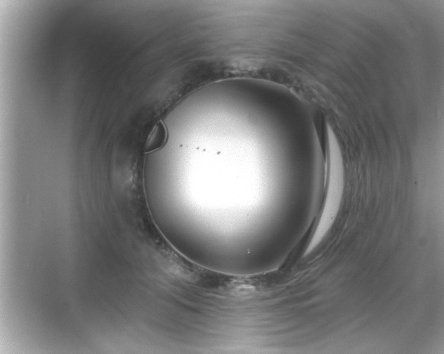 X0000069360608200605150918