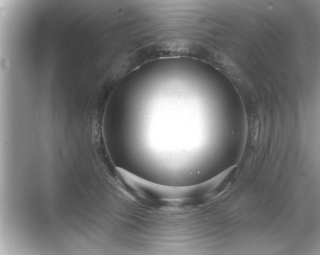 X0000069360609200605150918