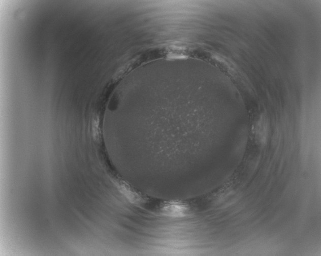 X0000069360610200605150918