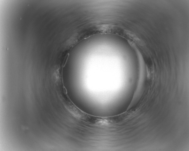 X0000069360611200605150918