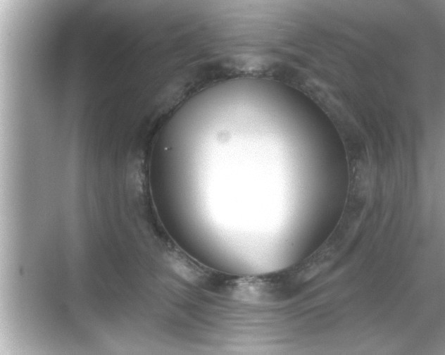 X0000069360612200605150918