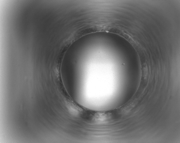 X0000069360613200605150918