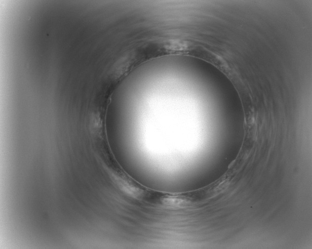 X0000069360614200605150918