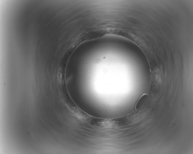 X0000069360615200605150918