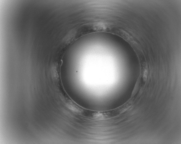 X0000069360616200605150918