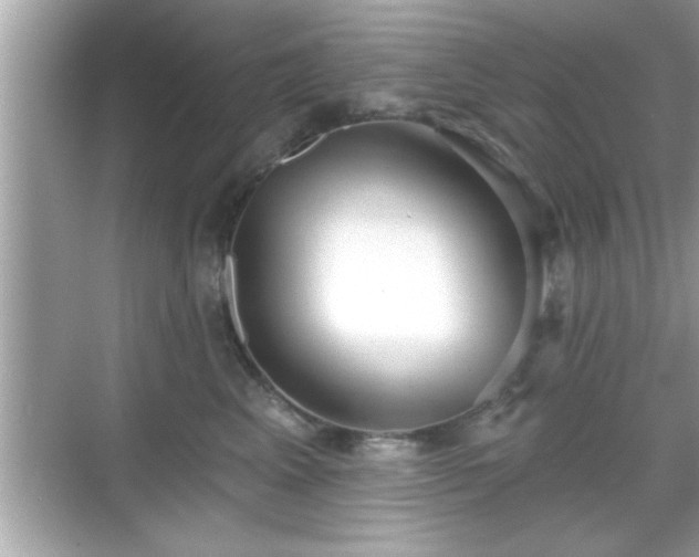 X0000069360617200605150918