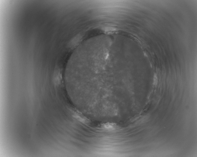 X0000069360618200605150918