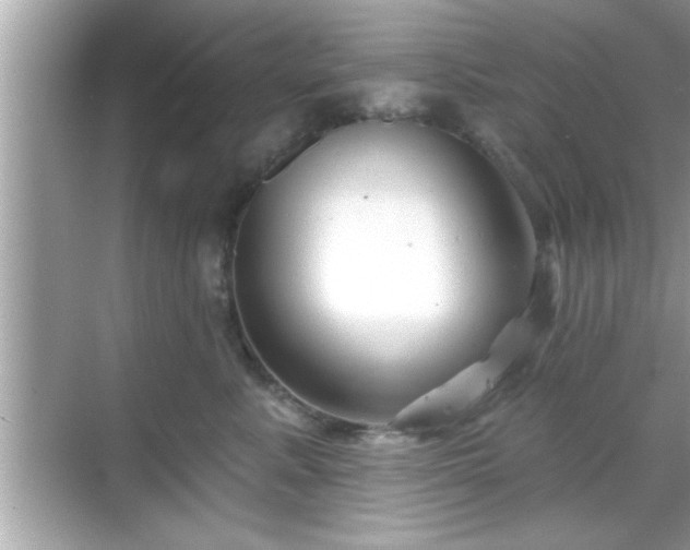 X0000069360619200605150918