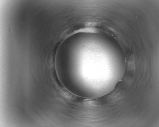 X0000069360620200605150918